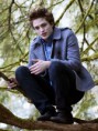 /album/fotogaleria/r1-jpg/
